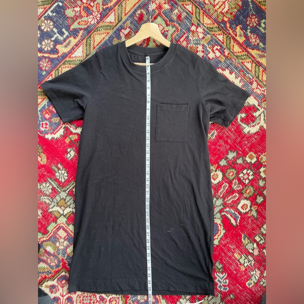 Everlane tee shirt dress
